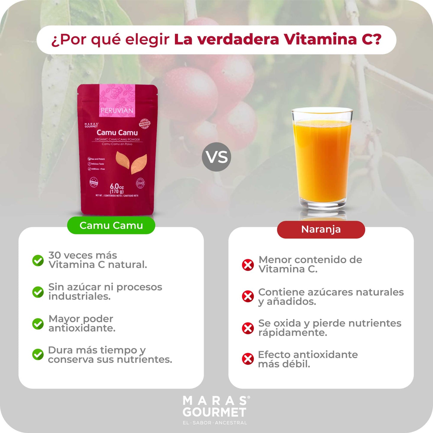 Camu Camu Orgánico en Polvo-Bolsa x 170 g